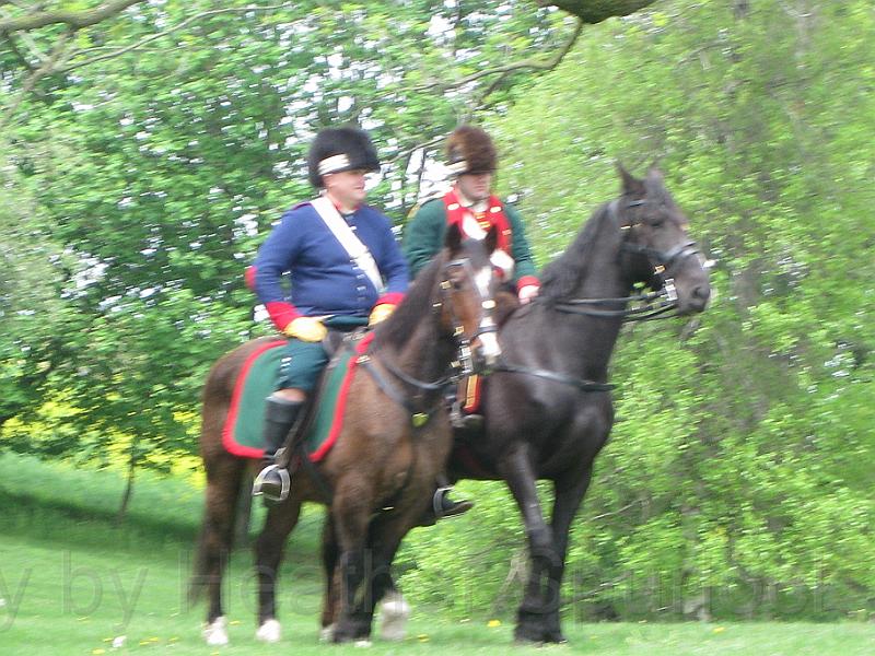 COWQ090011.jpg
