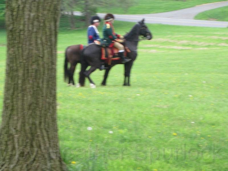 COWQ090038.jpg