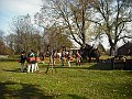 DSCF1239