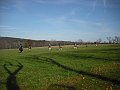 DSCF1258