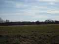 DSCF1270