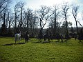 DSCF1274